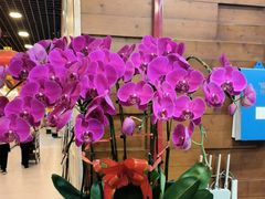 -东四民芳餐厅(世茂工三店)