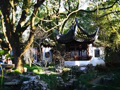 -上海醉白池公园