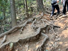 -灵顺寺