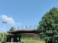 -黄海国家森林公园