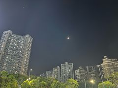 -铂尔登国际酒店(南山深圳湾口岸店)