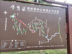 -牛背梁国家森林公园