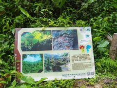 -海口火山口国家地质公园
