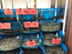 水产区-北戴河庆山饭店·海鲜砂锅粥(北戴河黑石路店)