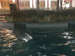 -汤峪温泉碧水湾