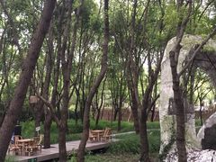 -柳鹭田园区