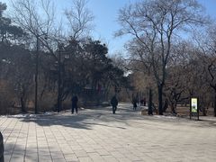 -北陵公园