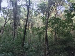 -四门塔风景区