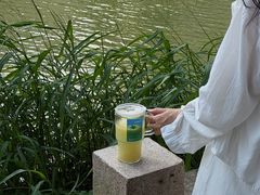 -星满杯TEAFUL(罗湖东门店)