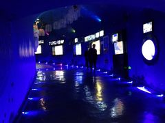 -烟台海昌鲸鲨海洋公园