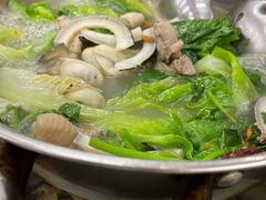 -新会鲜蚝鸡煲(新会总店)