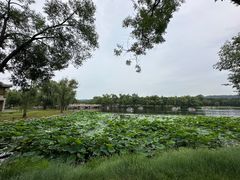 -承德避暑山庄景区