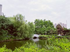 -长白岛森林公园