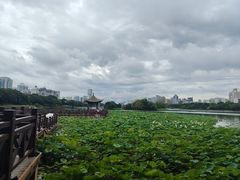 -南宁南湖公园