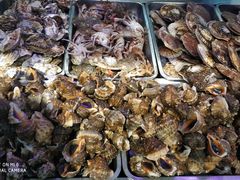 -春华海鲜城(广场西苑店)