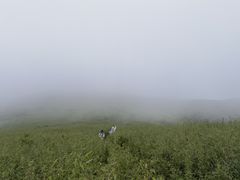 -秦岭风景区
