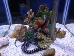 -太平洋海底世界