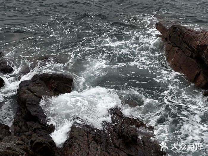 大梅沙海滨公园图片