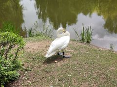 -沈阳鸟岛