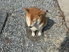 -小时光咖啡馆(开森度假森林店)