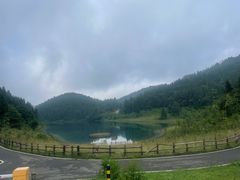 -武陵山森林公园