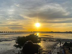 -宝安西湾红树林湿地公园