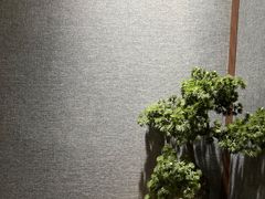 -金色印象·4K影院式足体养生(石碾盘店)