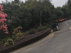 -大屏嶂森林公园