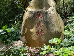 -罗三妹山
