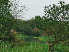 -桤木河湿地公园