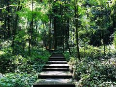 -凤栖山