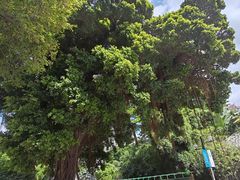-晓港公园