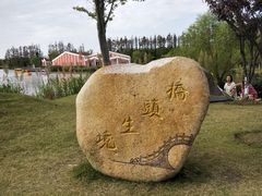 -上海长兴岛郊野公园