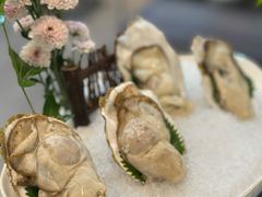 深海生蚝-喜聚薈·花膠雞海鮮火鍋(越秀店)