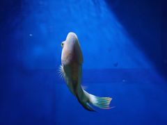 -福州罗源湾海洋世界旅游区