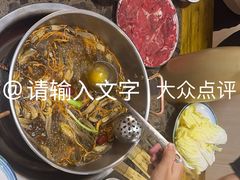 -乳仔牛牦牛汤锅 烤羊排(松潘古城店)