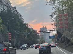 -新概念来凤鱼(璧山店)