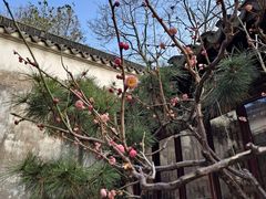 -朱鸿兴面馆(镇湖店)