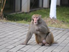 -苏州环秀晓筑养生度假村