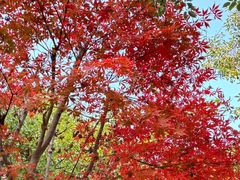 -白鹭湾湿地公园