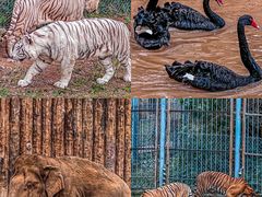 -济南野生动物世界