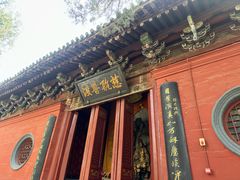 -洛阳白马寺