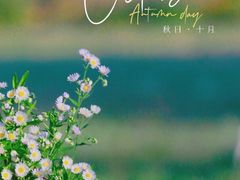 -贡湖湾湿地公园