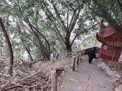 -龙泉洞(沙坪坝区)