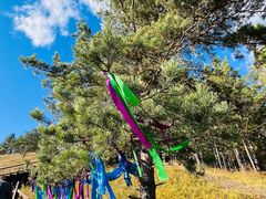 -莫尔道嘎国家森林公园