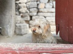-于家石头村景区