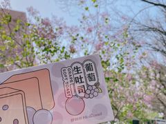 -好利来(鲁谷店)