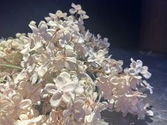 -星聚会KTV(景枫中心店)