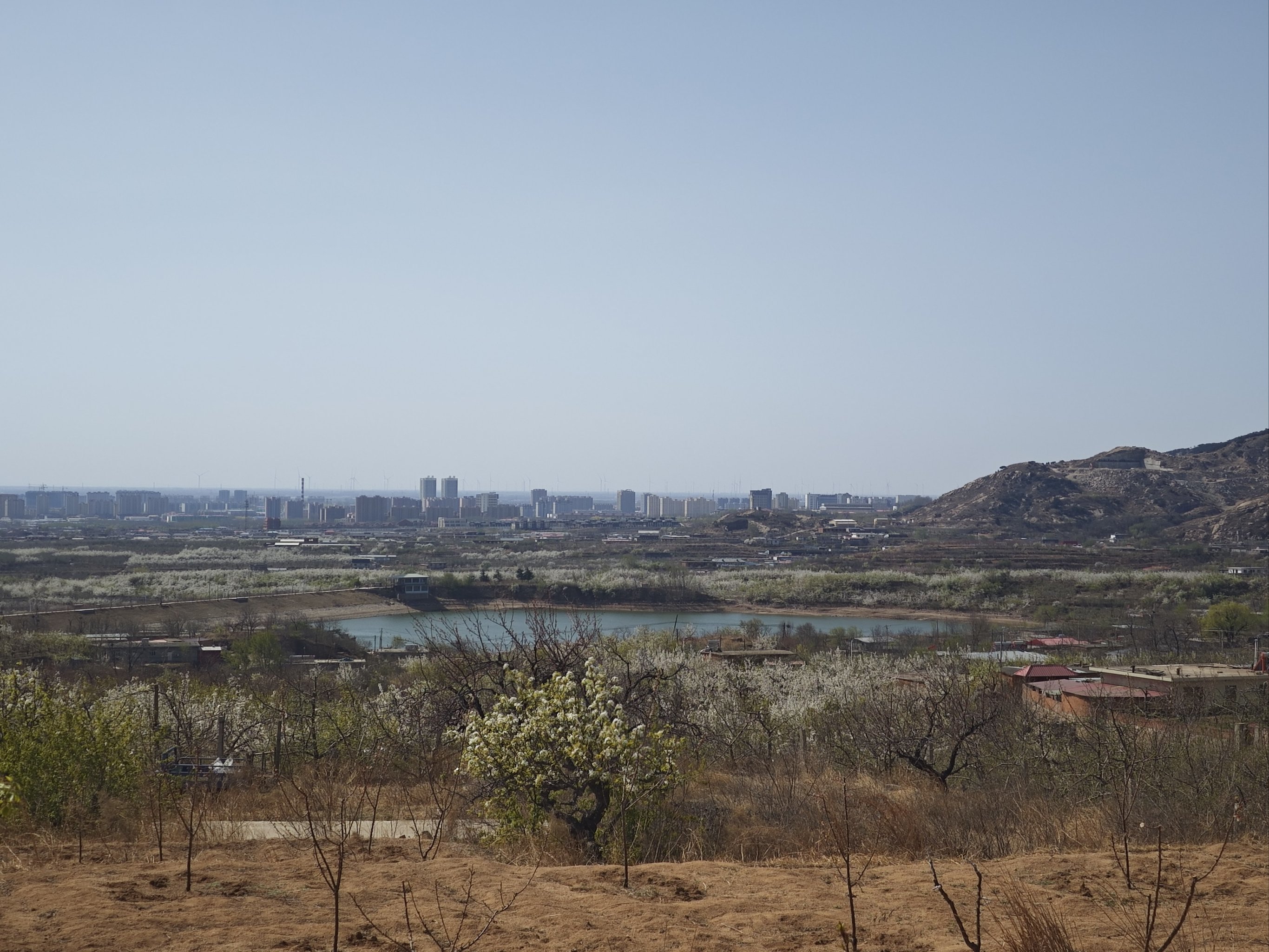 梨花盛开 邀你而来 正明山梨花节