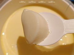 -1937青岛老味道·海肠捞饭·青岛菜(大鲍岛栈桥店)